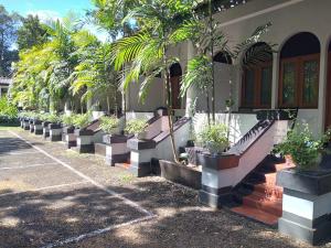 a row of potted plants on the side of a building at The Heritage Ambepussa in Ambepussa
