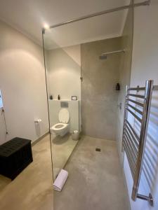 a bathroom with a toilet and a glass shower at Simbavati Fynbos on Sea in Sedgefield