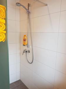 La salle de bains est pourvue d'une douche avec un pommeau de douche. dans l'établissement Gemütliche Wohnung mit Blick auf den Zahmen Kaiser, à Niederndorferberg