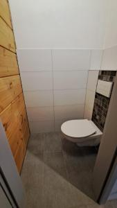 a bathroom with a white toilet in a room at wellness roubenka Holčí in Miřetice +20 photos