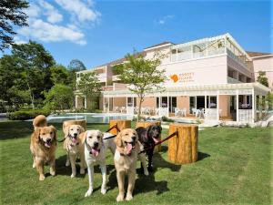 un gruppo di cani che si trovano di fronte a un edificio di Koyaru-no-sato Doggys Island a Yachimata