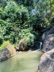 un ruisseau d'eau avec des arbres à l'arrière-plan dans l'établissement Mount court munnar, à Munnar