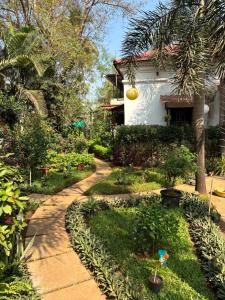 a garden in front of a house with plants at Casa de Fernandes in Nerul