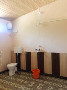 a bathroom with a toilet and a shower at Blue Lagoon Redefined in Gokarna