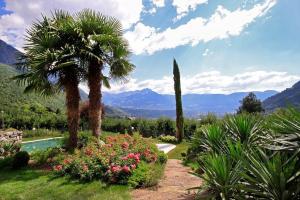 a garden with a palm tree and a swimming pool at Plarserhof in Lagundo