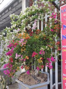 a planter filled with flowers on a white fence at Nhà Nghỉ Vườn Oải Hương LAVENDER GARDEN GUEST HOUSE in Phu Quoc