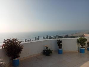 a balcony with potted plants and the ocean in the background at Hotel Suite Sadaf in Kelātali