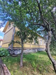 a house with a tree in front of it at Pohjankatu (Vanha Rauma) in Rauma