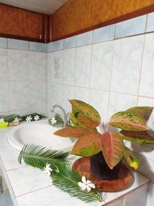Fotografija v galeriji nastanitve Maupiti Authentique v mestu Te-Fare-Arii
