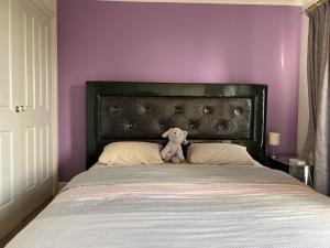 um urso de peluche sentado em cima de uma cama em Happy Post - New em Taylors Lakes