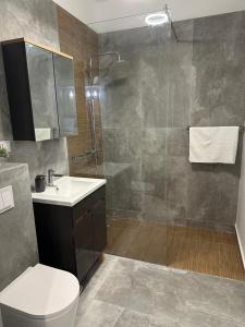 a bathroom with a shower and a toilet and a sink at Apartament lângă VIVO in Floreşti