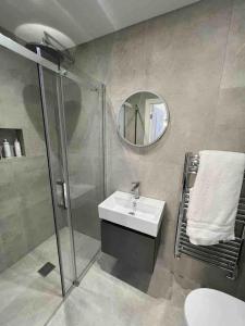 uma casa de banho com um lavatório, um chuveiro e um espelho. em Squirrels Leap - beautiful one bed apartment em Alderley Edge