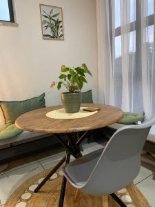 a dining room table with a potted plant on it at Forest Hill in Pretoria