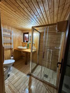 y baño con ducha, aseo y lavamanos. en Căsuța din Stejari-Transalpina, en Novaci-Străini