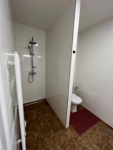 La petite salle de bains est pourvue d'une douche et de toilettes. dans l'établissement Kaštanová 27, à Olomouc