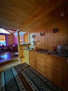 eine Küche mit einem Waschbecken in einer Holzhütte in der Unterkunft Căsuța din Stejari-Transalpina in Novaci-Străini + 25 Fotos