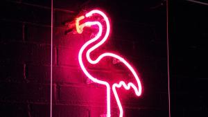 a neon sign of a flamingo on a wall at MJ's in Malmö