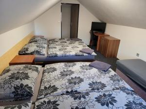 Pokój z 3 łóżkami i telewizorem w obiekcie Penzion Karolína w mieście Lučany nad Nisou
