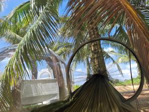 马六甲The Coco Journey - Eco Dome的建筑物前的棕榈树