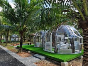una habitación en una cúpula de cristal en un césped verde con palmeras en The Coco Journey - Eco Dome, en Melaka
