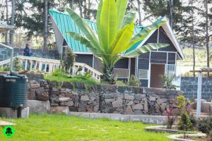a house with a palm tree in front of it at TURI HAVEN COTTAGE in Molo