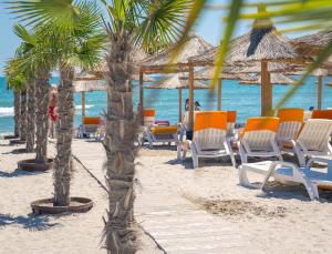 un grupo de sillas y palmeras en una playa en Mera Holiday Resort en Venus