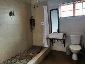 uma casa de banho com um chuveiro, um lavatório e um WC. em Ganora Guest Farm, Camping and Excursions em Nieu-Bethesda