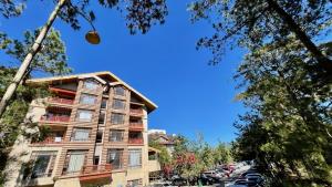 Gallery image of Mountain view room at Forest Lodge Hotel, Camp John Hay-Private unit 549 in Baguio
