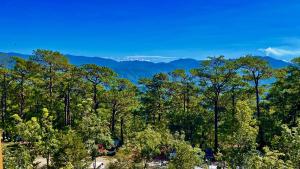 Gallery image of Mountain view room at Forest Lodge Hotel, Camp John Hay-Private unit 549 in Baguio