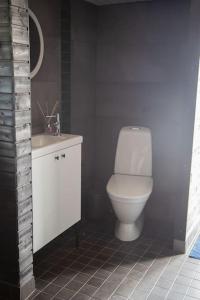 a bathroom with a white toilet and a sink at Ihana järvenranta mökki. Cottage by the lake. in Kurjalanranta +16 photos