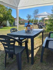 a picnic table with a bottle of beer and a chair at Kemping pod figą in Granichar