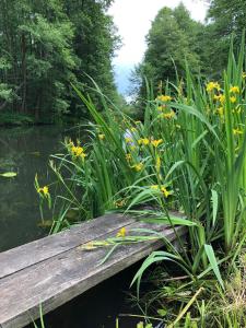 un puente de madera sobre un cuerpo de agua con flores en Ferienwohnung Verena Wunderlich, en Schlepzig
