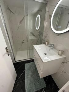a bathroom with a sink and a shower and a mirror at Superbe appartement avec spa privatif in Vincelles