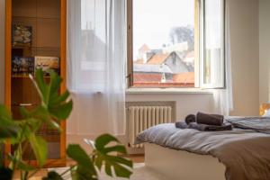 um quarto com uma cama e uma grande janela em Best Location Apartment AIR-CONDITIONED em Bratislava