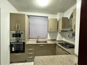 馬拉博的住宿－APARTMENTO LUMINOSO，厨房配有水槽和炉灶