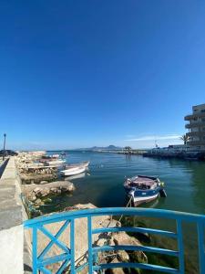 un grupo de barcos están atracados en un puerto en Beachside Loft/Cosy house/Design en Túnez