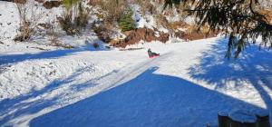 una persona che cavalca uno snowboard lungo una pista innevata di Cabana din Vale Arieseni Apuseni ad Arieşeni