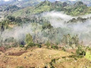 a misty hillside with trees on a mountain at Lagom Bắc Hà Farmstay in Lao Cai