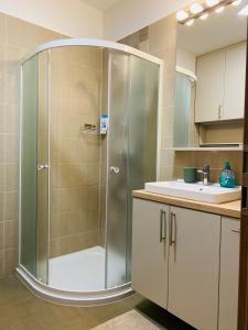 een badkamer met een douche en een wastafel bij Comfortable place on the Marina port in Boedapest