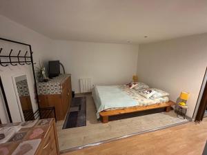 - une chambre avec un lit et une télévision dans l'établissement ANNECY 2 Fg Sainte Claire vieille ville 4pers 3 étoiles proche lac et gare, à Annecy