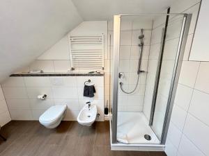 a bathroom with a shower and a toilet and a sink at Ferienapartment Huber in Oberkirch