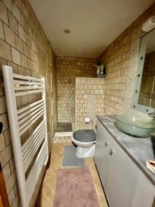 La salle de bains est pourvue de toilettes et d'un lavabo. dans l'établissement ANNECY 2 Fg Sainte Claire vieille ville 4pers 3 étoiles proche lac et gare, à Annecy