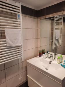 een badkamer met een wastafel en een spiegel bij le bolca in Sausses