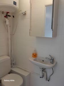 a bathroom with a toilet and a sink and a mirror at studio close to grand place for 2 in Brussels