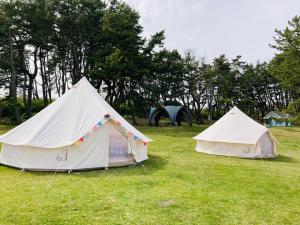 two tents in a field with trees in the background at Tanesashi Campsite - Camp - Vacation STAY 42215v in Hachinohe