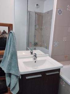 een badkamer met een wastafel, een spiegel en een bad bij Superbe appartement avec 3 chambres à 700 mètres du stade de France in La Plaine-Saint-Denis