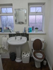 a bathroom with a toilet and a sink at Small but bright single room not far from City Centre in Leicester +4 photos