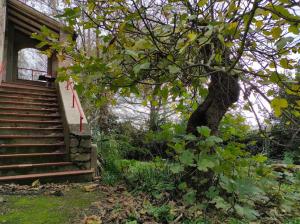 a house with a staircase next to a tree at Rustico appartamento in tenuta agricola - Umbria in San Valentino