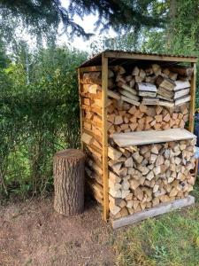 a pile of fire wood next to a stump at Park Huntířov in Huntířov