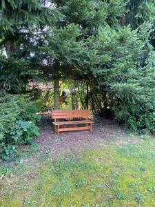 Zahrada ubytování Park Huntířov